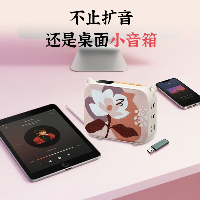 TAKSTAR E30W Wireless Little Bee Amplifier Teacher's Special Guide Speaker Waist Hanging Portable Chinese Style Bluetooth Small Speaker Megaphone Wireless Lecture Microphone Rouyuebai