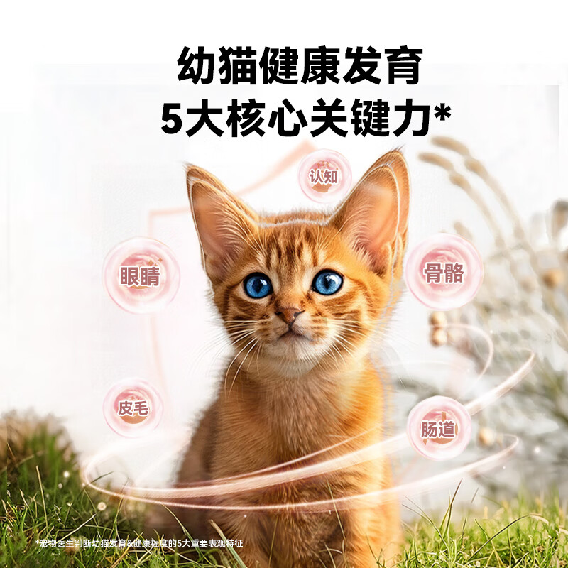 Wanpy 100% fresh meat kitten staple food can full price nutritional wet food canned cat 50g*24 cans chicken and salmon formula