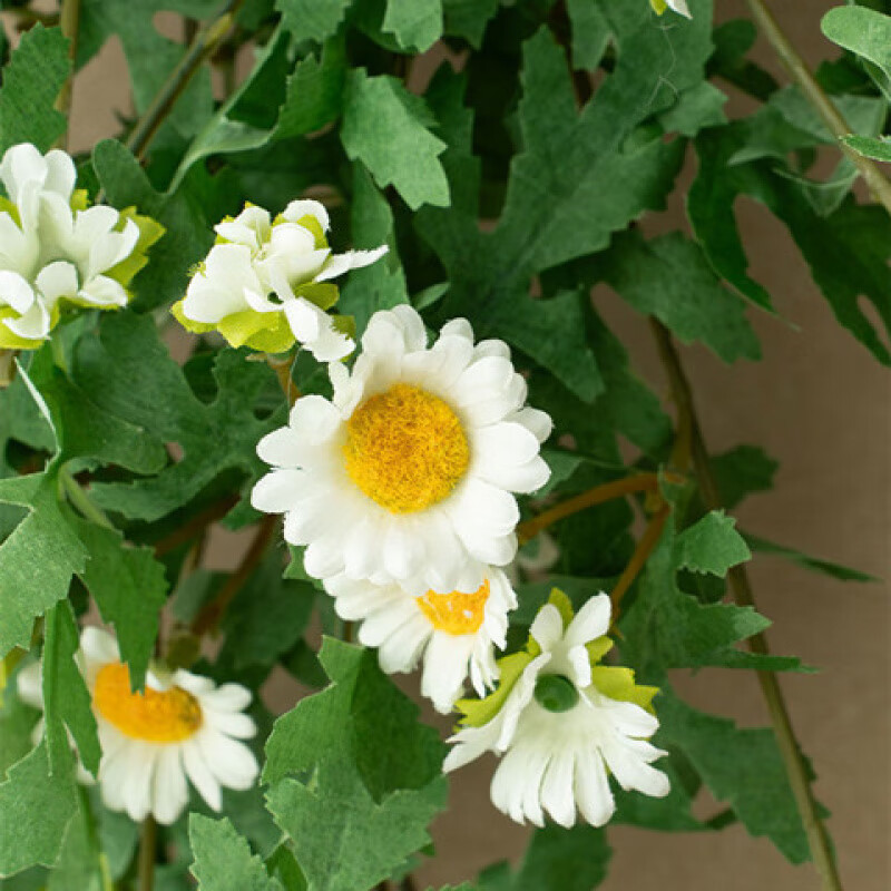 LZJVins style small daisy wall hanging artificial flower vines and vine strips wrapped around the wall to block the decoration of green plants and artificial flowers wall decorations. Daisy wall hanging comes with free traceless nails. A complete set