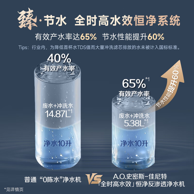 Smith (A.O.SMITH) Garnet Blue Whale Water Purifier Household Water Purifier Kitchen Special Undercounter Direct Drinking Machine All-in-One Kitchen 1000G CR2500AE1