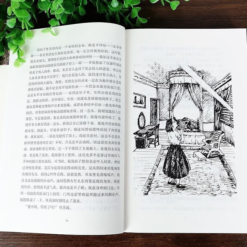 A complete set of 12 authentic original books of the world's top ten classics, War and Peace, Pride and Prejudice, Red and Black, full version without abridgements, world literature classics, modern and contemporary literature single reading novels best-seller rankings, teen editions, must-read extracurricular reading books for middle and high school students, school Chinese recommended reading books, Resurrection of Notre Dame de Paris