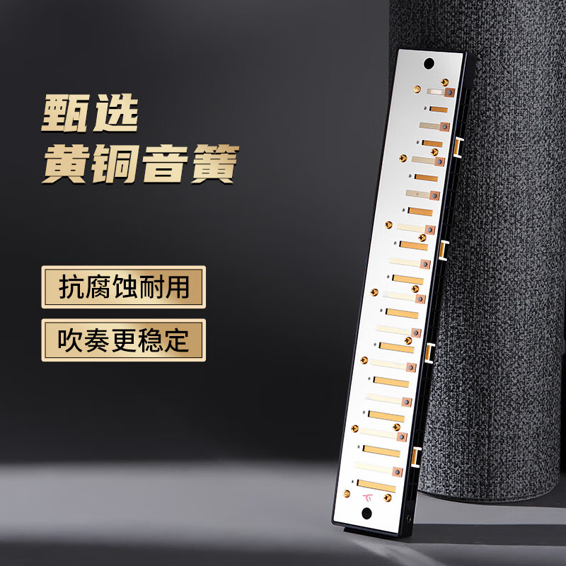 Guoguang 24-hole beginner entry-level polyphonic harmonica with scale commemorative edition in C key (Athens black) gift box