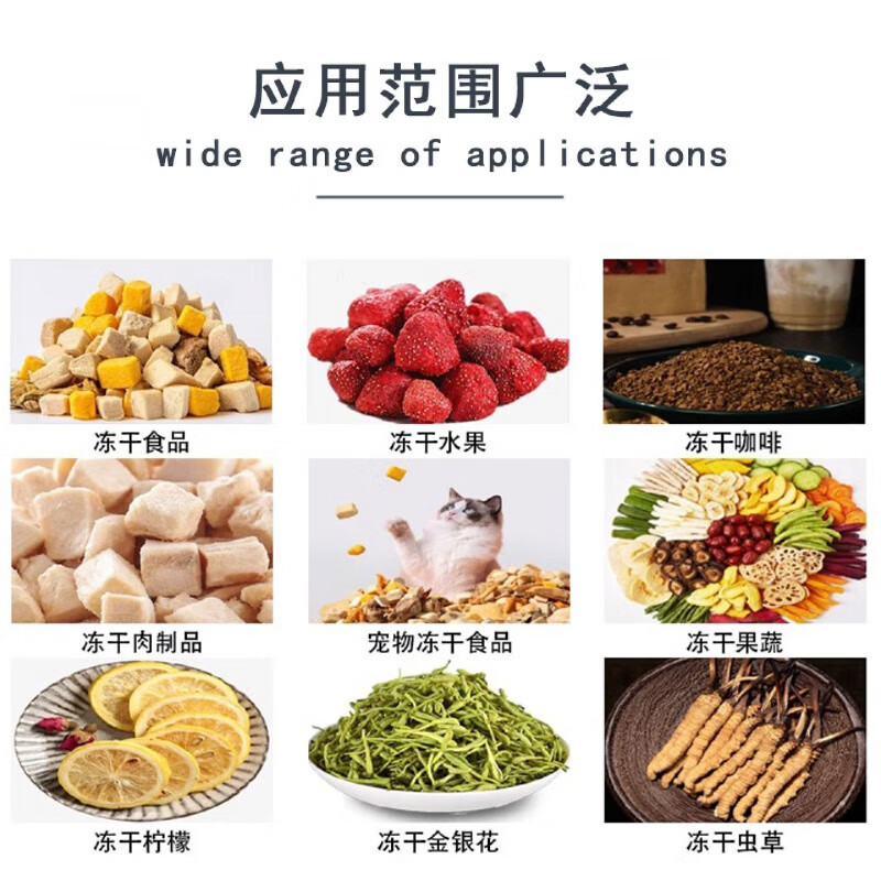 Freeze dryer household small commercial food dehydrated vegetables, fruits and meat freeze-dried powder low temperature vacuum drying box ZL-012N