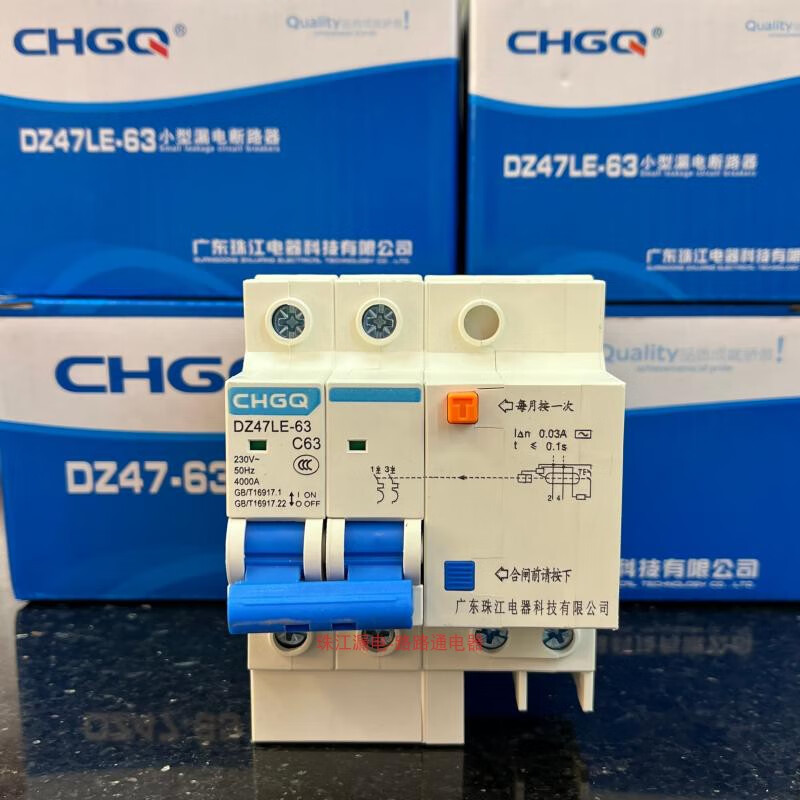 Guangdong Zhujiang leakage protector double DZ47LE upgraded household main switch 2P63A air switch circuit breaker 2P 63A