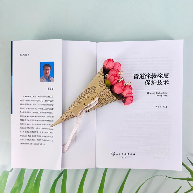 Pipe coating coating protection technology