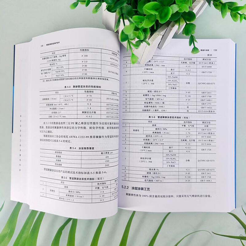 Pipe coating coating protection technology