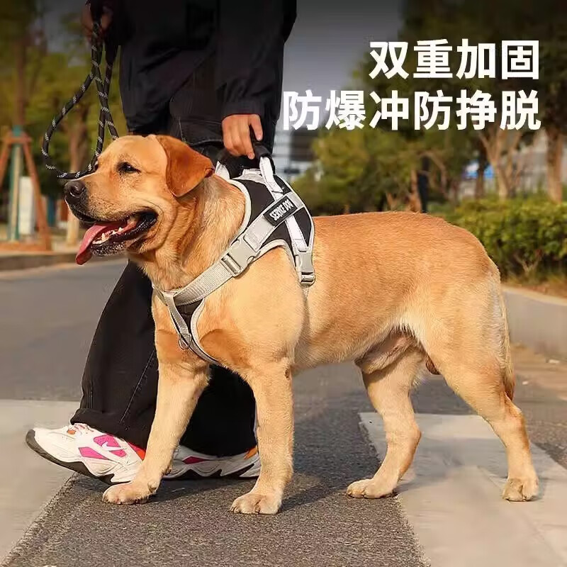 Star Duo Dog Leash Harness Medium-sized Dog Border Collie Golden Retriever Explosion-proof Reflective Pet Vest Style Dog Walking Rope S-(14-30 catties recommended) Black Harness Traction Rope