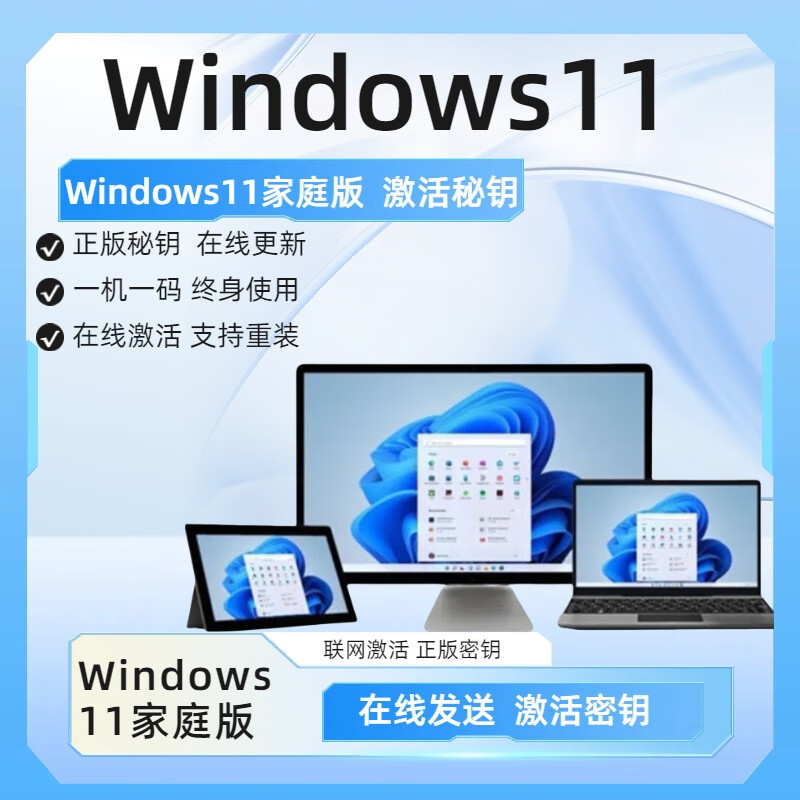 Win10 professional version activation key windows11 activation code home Chinese version upgrade professional version win11 home version + online activation