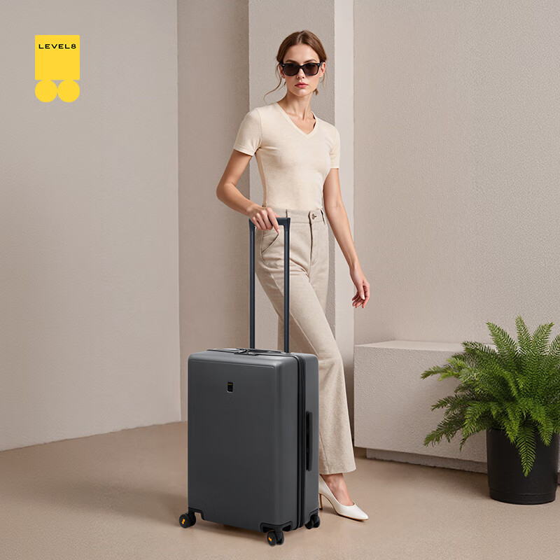 Horizon 8 (LEVEL8) Luggage Men's and Women's Password Checked Large Capacity Traveler PC Trolley Case 24-inch Gray JD.com Co-branded Model