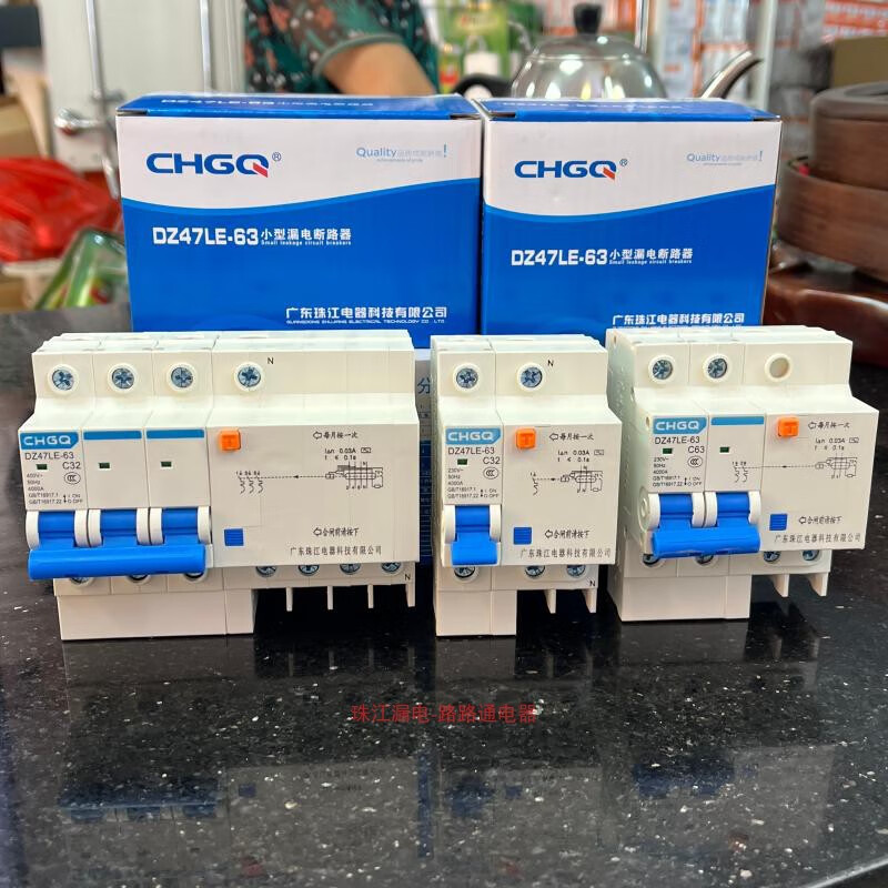Guangdong Zhujiang leakage protector double DZ47LE upgraded household main switch 2P63A air switch circuit breaker 2P 63A