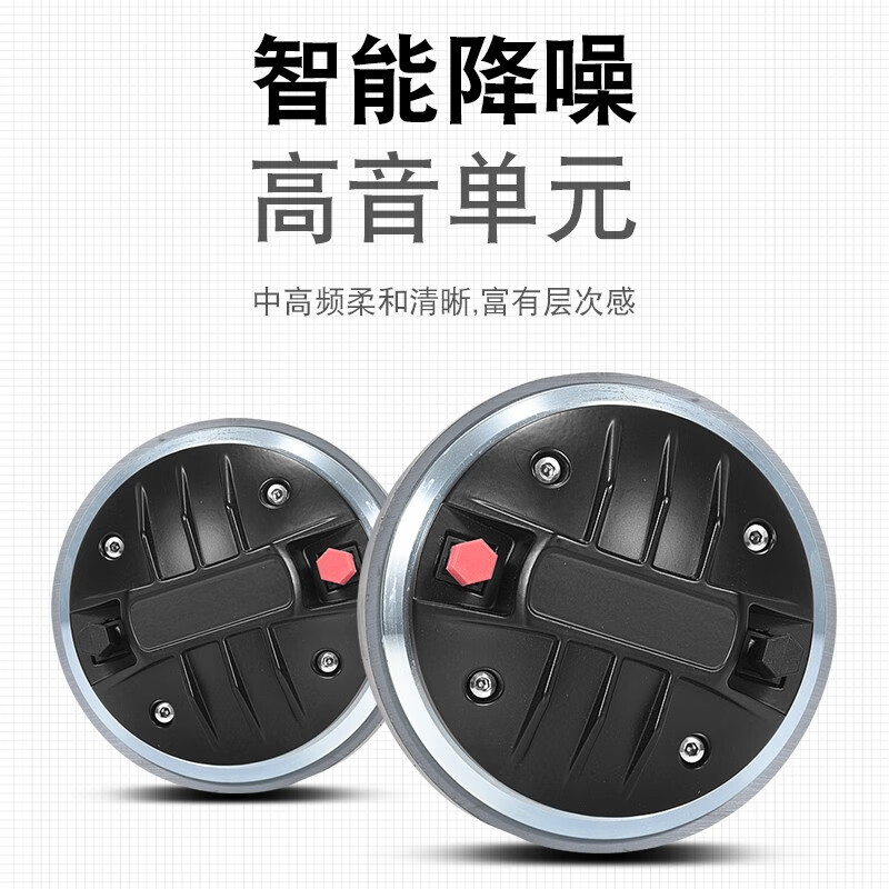 YTFY Voice of Berlin high-quality professional speakers stage performance home karaoke bar private room KTV conference room audio XS10 10-inch 170 magnetic high-end version speaker (single)