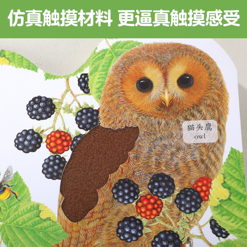 Bright and Exquisite Touch Book Series Little Owl Aoqi Enlightenment Picture Book for 0-2 Years Old Children Happy Children's Book Cognitive Simulation Touch Touch Book for Young Children Money Saving Card