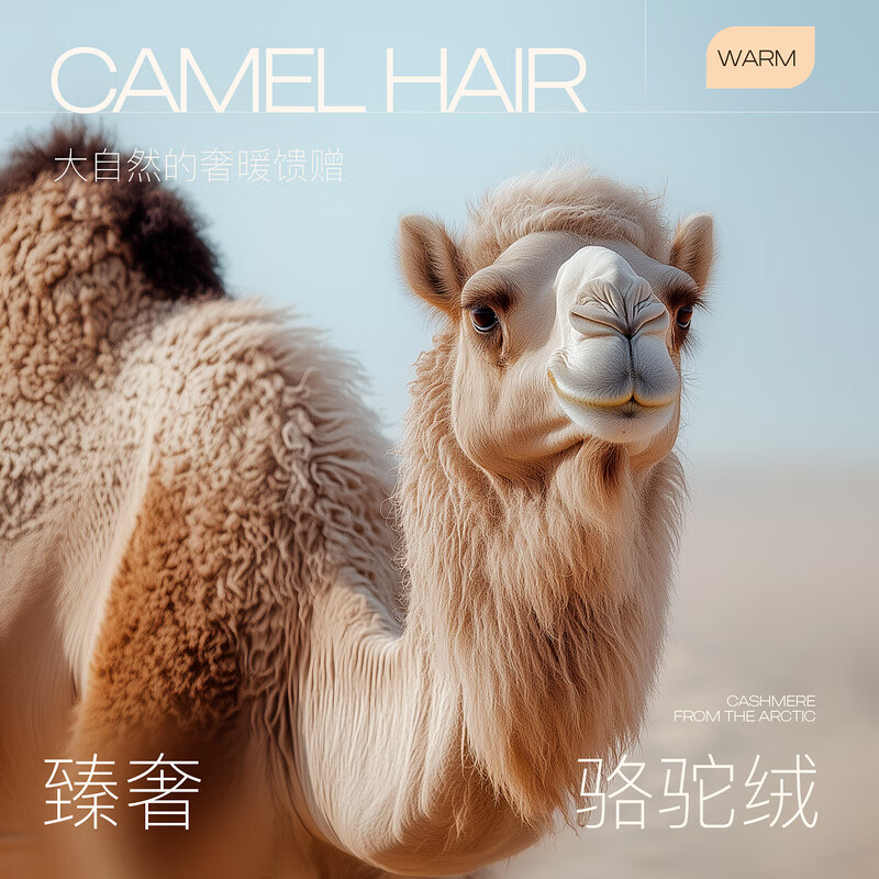 Tricolor Sheep Wool 2025 Winter New Style Stand Collar Double-sided Woolen Coat Woolen Jacket Long M