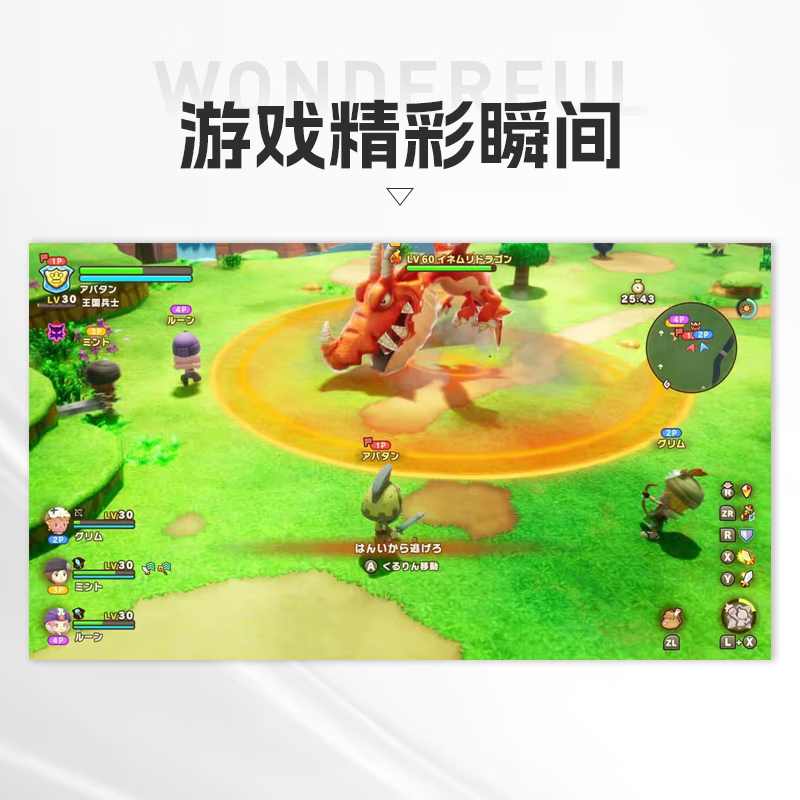 Nintendo (Nintendo) Fantasy Life i The Circle of Dragons and the Girl Who Stole Time Switch2 Game Card Japanese Version Chinese