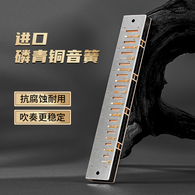 Guoguang 24-hole Guozhimeng imported gongs competition grade polyphonic C harmonica (streamer silver/with teaching materials)