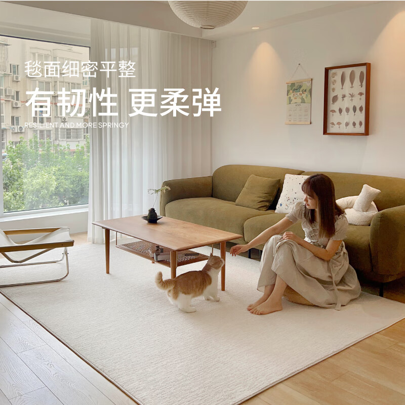 Saibos waterproof and anti-fouling carpet white moonlight French light luxury high-end simple cream style living room anti-slip 200*300CM