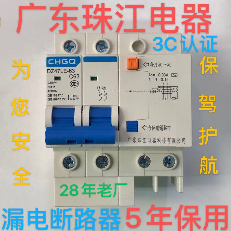 Guangdong Zhujiang leakage protector double DZ47LE upgraded household main switch 2P63A air switch circuit breaker 2P 63A
