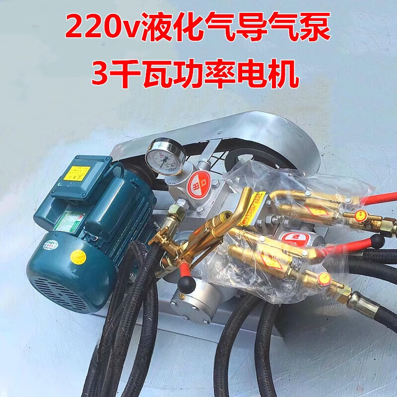 Complete new household 220v liquefied gas air pump car 48v12v gas air pump large bottle guide small bottle air pump 220v new model (220v three kilowatt motor)