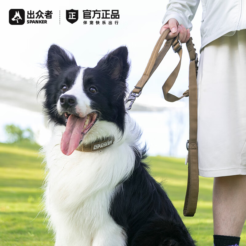 Outstanding Dog Leash Extended Dog Leash Medium and Large Dog Chain Adjustable Dog Leash Golden Retriever German Shepherd Dog Leash Black BLK