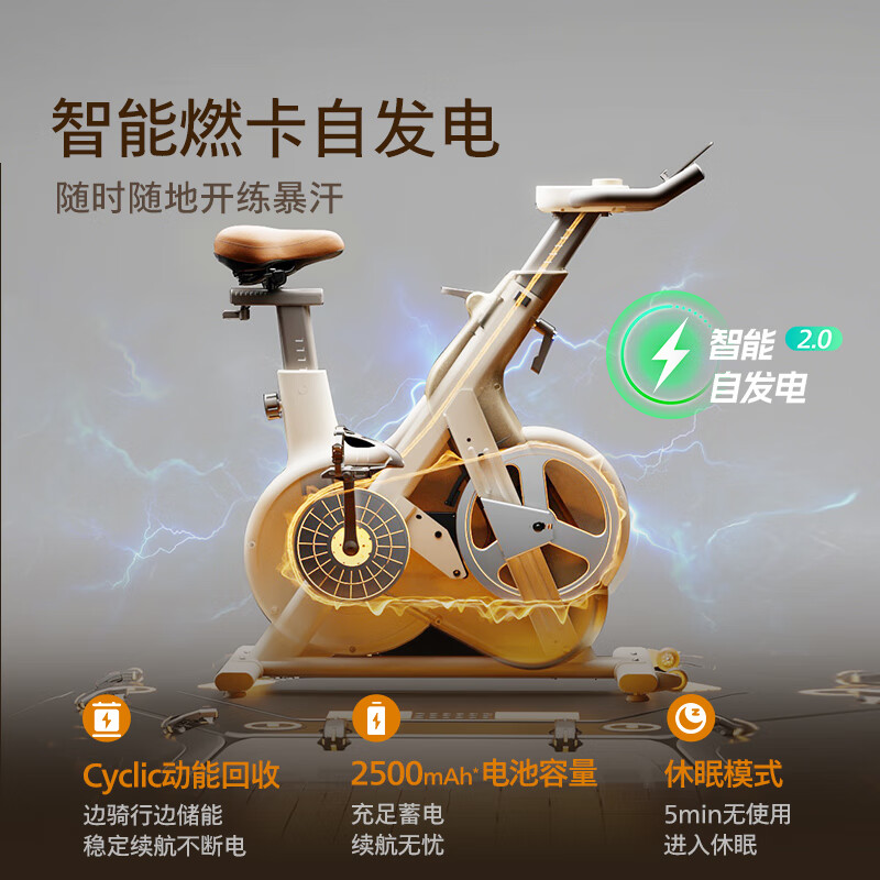 Philips Home Spinning Bike Intelligent Self-Powered Fitness Equipment Weight Loss Sports Indoor Bike Little Golden Deer 3102B