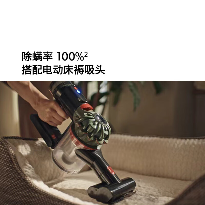 Dyson (DYSON) DS20 cyclone cordless vacuum cleaner handheld wireless vacuum cleaner mite removal pet family suitable