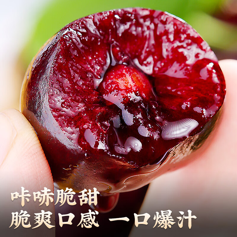 Jingdida Chile imported cherries 2 pounds JJJ grade extra large fruit single fruit 30mm + air freight fresh fruit direct from the source