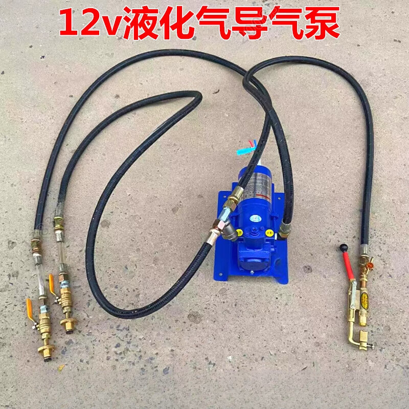 Complete new household 220v liquefied gas air pump car 48v12v gas air pump large bottle guide small bottle air pump 220v new model (220v three kilowatt motor)