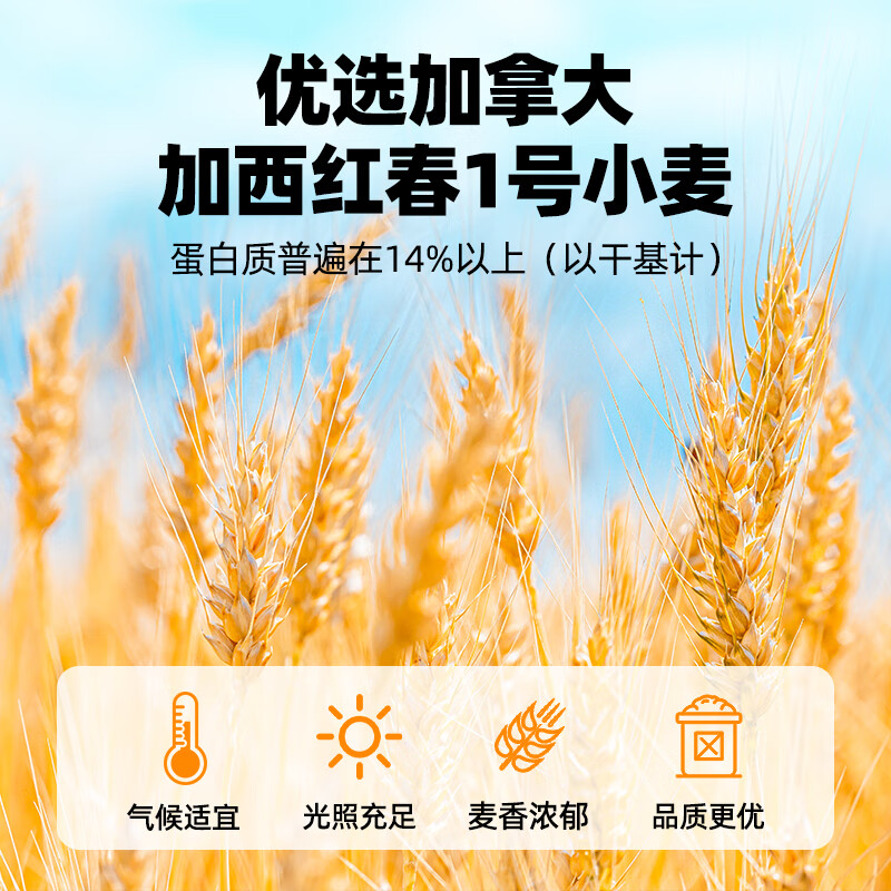 Baizuan high-gluten wheat flour bread machine household toast bread pizza ingredients baking ingredients 500g