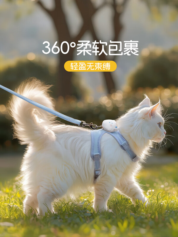 Qi Oh Cat Leash, Adjustable Cat Walking Rope, Cute Kitten Harness for Outings, Small Dog Pet Supplies, Little Bear - Blue, Vest Style, Double Lock, Anti-Escape M - Recommended: 7-15 catties. Specific details are subject to bust size.