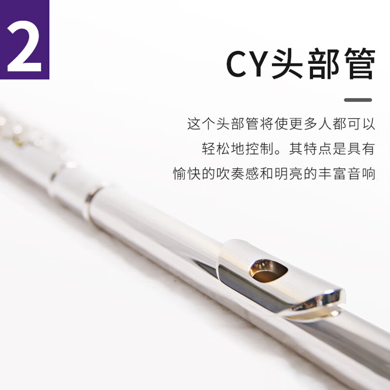 Yamaha (YAMAHA) YFL-222 closed hole flute 16 key beginners flute C key flute YFL-222 without E key split