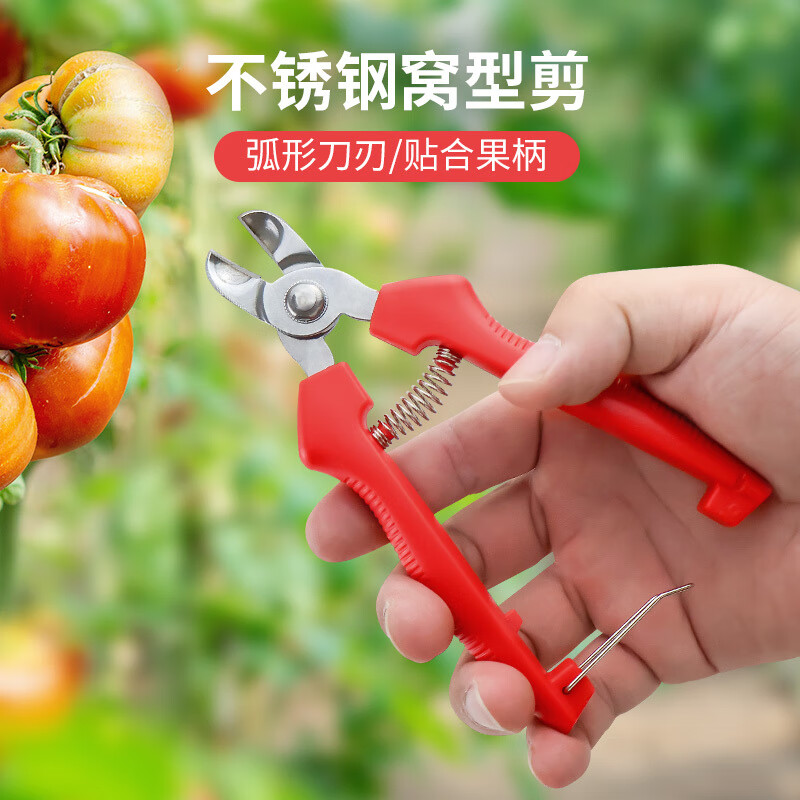 Vinoa stainless steel nest-type fruit picking scissors, special scissors for tomatoes and apples, orange picking scissors, fruit handle concave pruning scissors, stainless steel nest scissors, 1 pack, upgrade belt