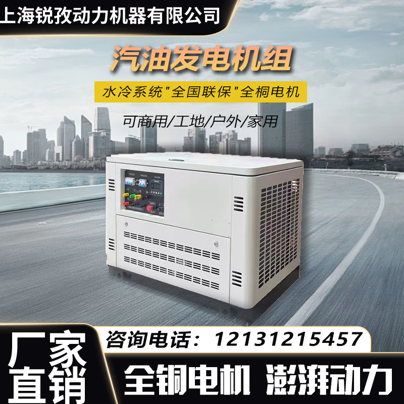 SHRAISE 16KW gasoline generator 230V/400V single three-phase electric start (combustible gas, price extra)
