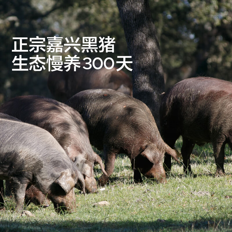 Baby is greedy for black pig xiaolongbao 200g handmade children's breakfast semi-finished buns with infant food supplement recipes