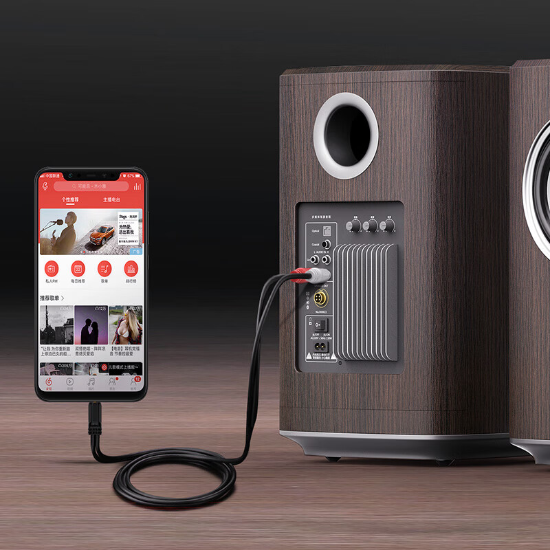 Akihabara (CHOSEAL) 3.5mm to double lotus head audio cable 3.5 to 1/2 lotus 2RCA red and white male to male connection computer TV sound box amplifier cable 1 meter QS3002T1