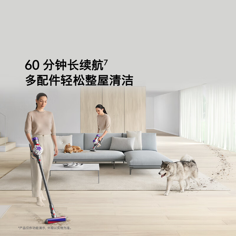 Dyson (DYSON) DS20 cyclone cordless vacuum cleaner handheld wireless vacuum cleaner mite removal pet family suitable