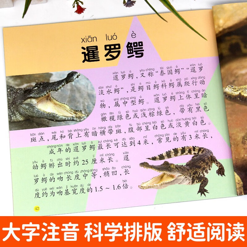 Complete 4-volume children's animal encyclopedia, large picture and large character encyclopedia, 3-6 years old encyclopedia picture book, animals are really interesting, animals are strange, animals are so cute, primary school students' animal secrets