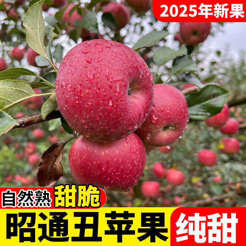 2025 Authentic Yunnan Zhaotong Rock Candy Heart-Chou Apple Fresh Fruit Apple Seasonal Crisp Sweet Fruit Straight from Origin 5 Jin Pack Extra Large Fruit (90-100)