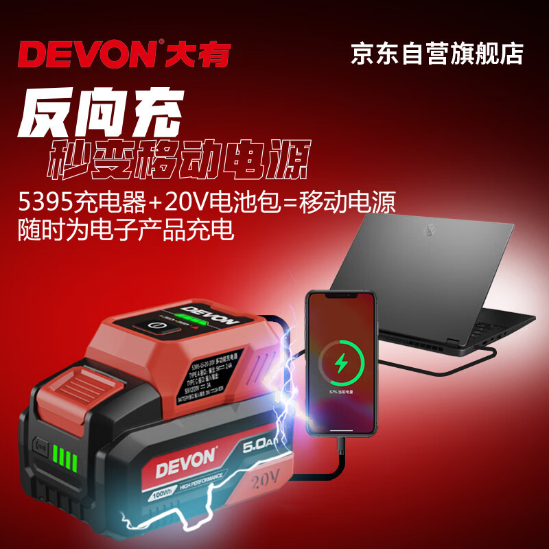 Devon 20V multifunctional charger 20V lithium battery product universal 5395 reverse fast charging Type-C interface (60W)