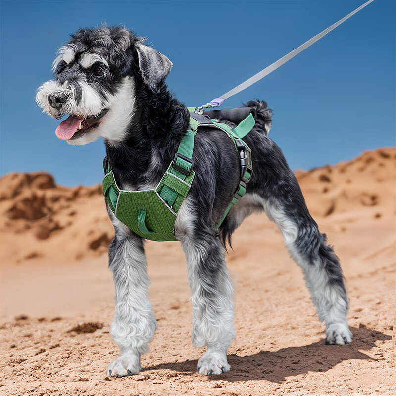 Hippie dog (hipidog) dog leash double-ring buckle harness small and medium-sized dog Schnauzer outdoor safety and explosion-proof harness dog walking leash Tian Green L (recommended weight 29-45 pounds)