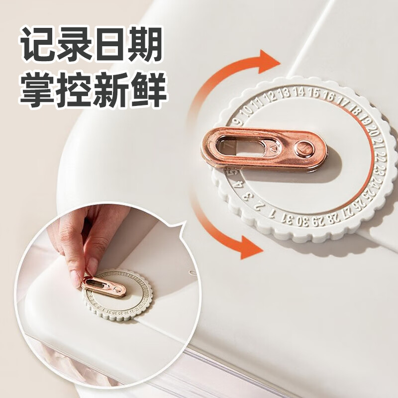 Longstar frozen dumpling box for home use, two layers and one cover, special wonton and dumpling preservation box tray for refrigerator, food grade