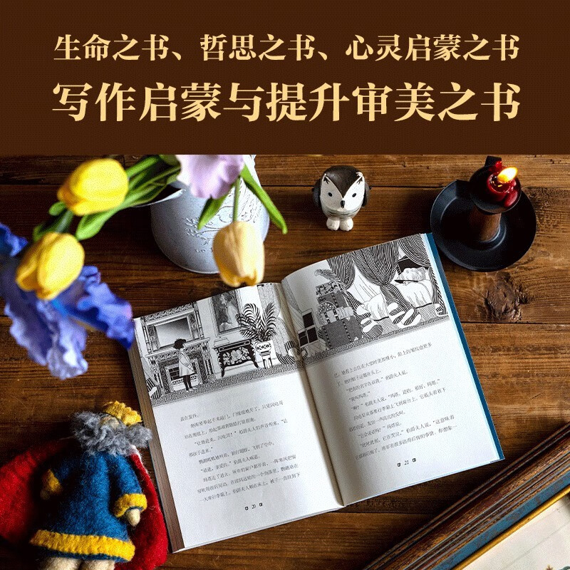 Starlight Hotel Kate DiCamillo's classic literature (3 volumes in total) 8-14 years old, including the old captain's suitcase Starlight Hotel The child who changed the sad kingdom Children's literature