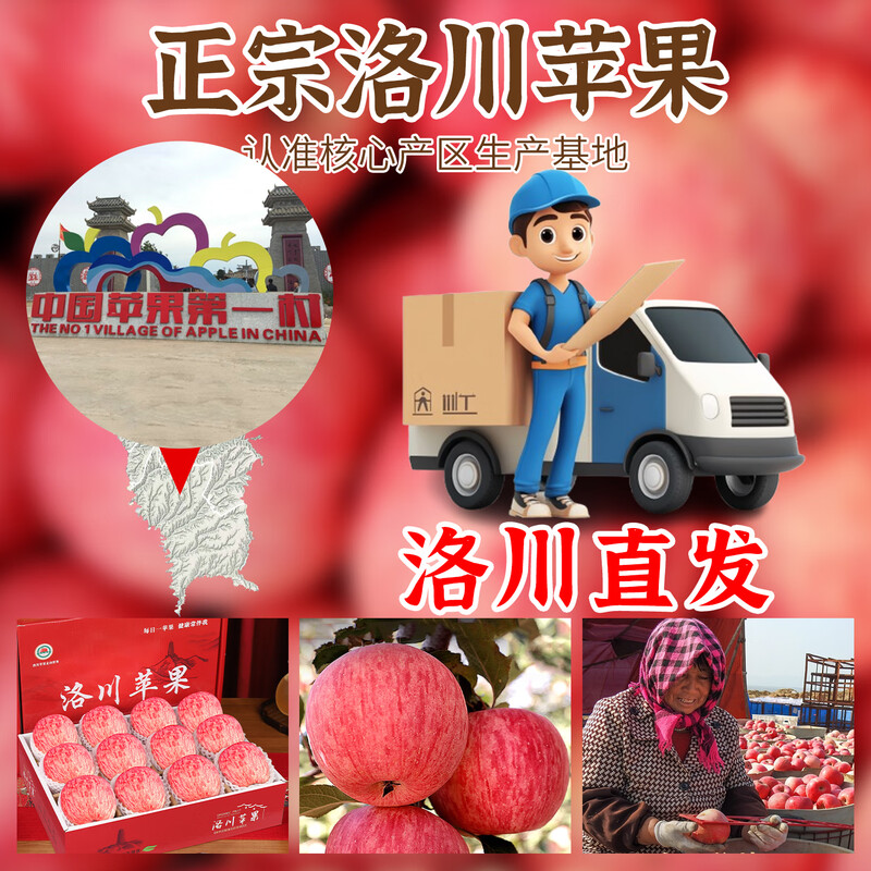 Luochuan Apple, Shaanxi Yan'an Luochuan Red Fuji Apple, 25-year new fruit, seasonal apple fruit gift box, direct delivery from the origin, selected extra large fruits, net weight 8.5 catties (single fruit 250+), about 15-18 pieces