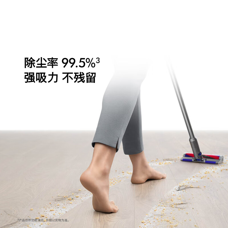 Dyson (DYSON) DS20 cyclone cordless vacuum cleaner handheld wireless vacuum cleaner mite removal pet family suitable