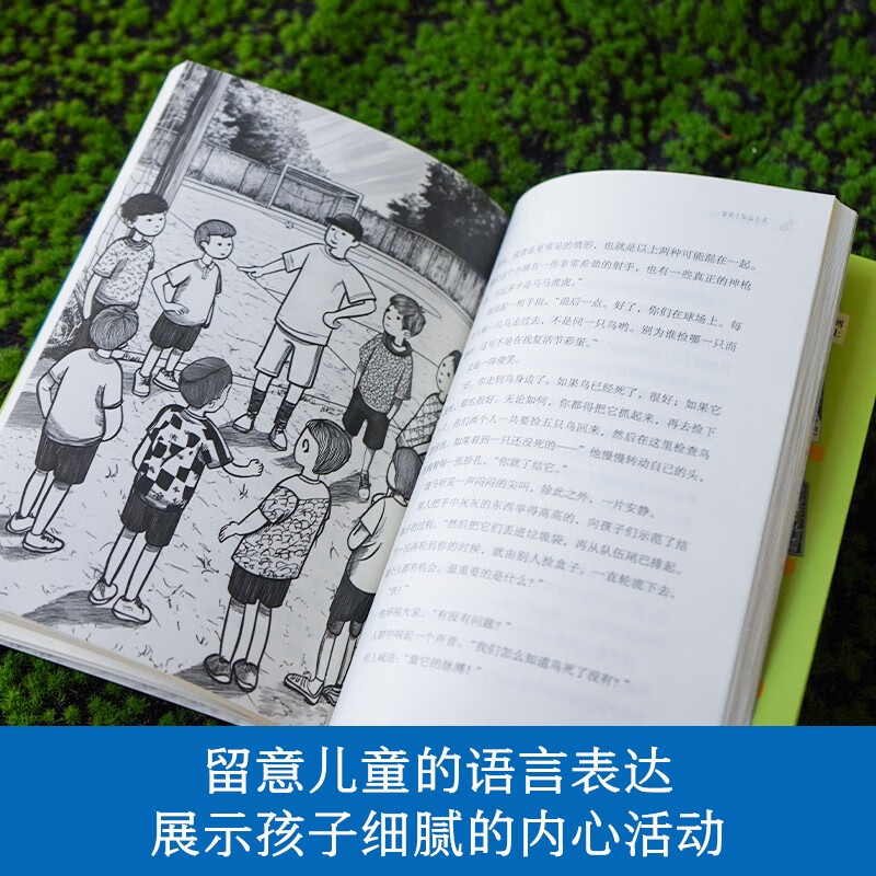 The Ivy International Award-winning novel The Troubles of Ten Years Old, Newbery Silver Medal for Children's Literature, Courage, choice, self-reliance, humanity and other themes must-read for primary and secondary school students in grades 3, 4, 5 and 6, International Children's Literature Award classics extracurricular reading that affects children's lives.