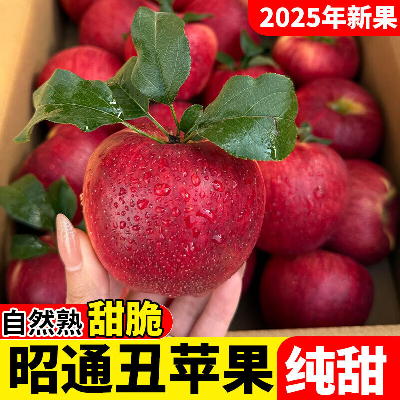 2025 Authentic Yunnan Zhaotong Rock Candy Heart-Chou Apple Fresh Fruit Apple Seasonal Crisp Sweet Fruit Straight from Origin 5 Jin Pack Extra Large Fruit (90-100)