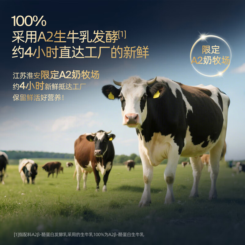 Dr. Cheese HMO breast milk oligosaccharide infant yogurt A2 milk source probiotics native nutrition room temperature complementary food prune 70g