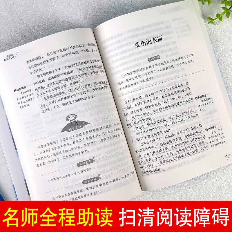 Read the second volume for sixth grade (4 volumes with test points) Robinson Crusoe, The Adventures of Tom Sawyer, Alice in Wonderland, and Niels' Travels on the Goose.