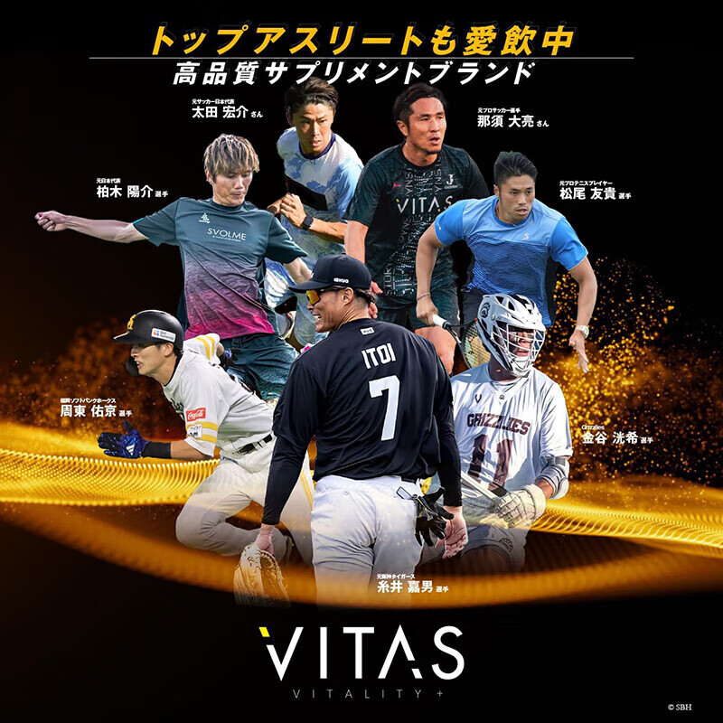 VITAS Japan imported zinc maca 11 kinds of multivitamins folic acid supplement zinc VB family maga men's nutritional essence 2 bags (120 capsules/bag)