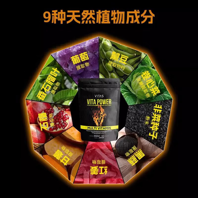 VITAS Japan imported zinc maca 11 kinds of multivitamins folic acid supplement zinc VB family maga men's nutritional essence 2 bags (120 capsules/bag)