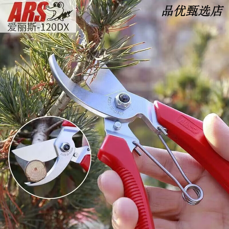 Alice pruning shears Alice scissors imported Alice ARS120DX gardening thick branch scissors imported pruning shears original Alice 120DX spring maintenance oil